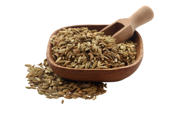 Cooking Fennel Saunf