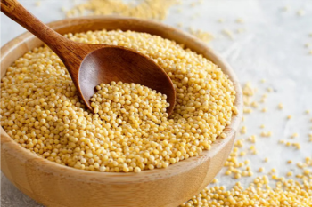 Foxtail Millet