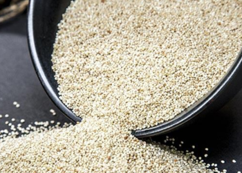 Poppy Seeds (Khus Khus)